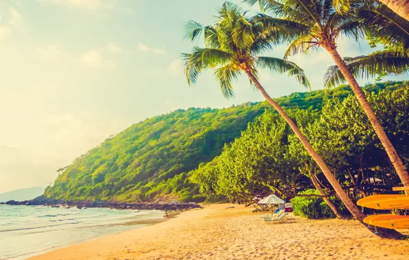 Picture sand, sea, wave, beach, summer, the sky, palm trees, shore