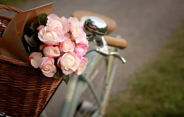 Flowers, bike, basket, roses, package, pink, white