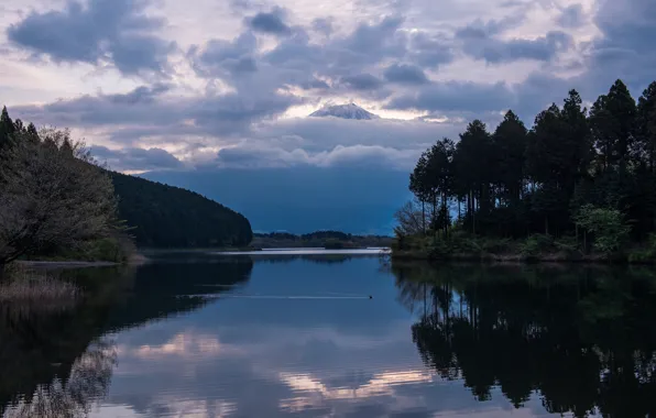 Picture forest, the sky, trees, clouds, lake, reflection, mountain, the evening