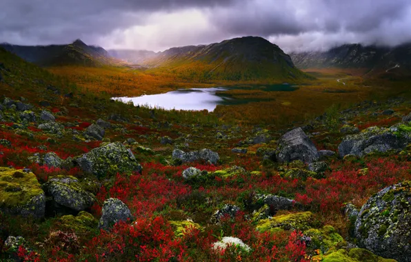 Forest, grass, clouds, mountains, clouds, lake, stones, moss