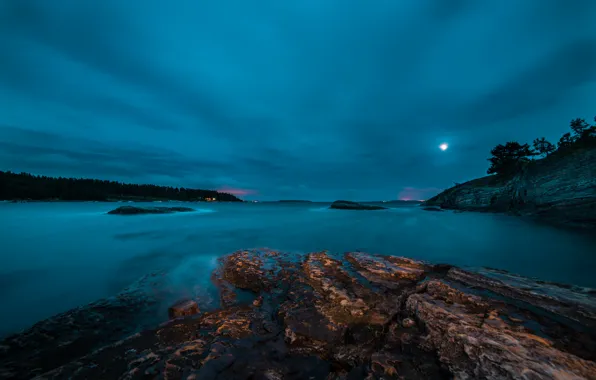 Forest, night, lake, rocks, the moon