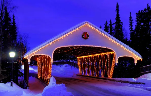 Picture winter, road, forest, snow, bridge, nature, lights, lights, Park, holiday, lantern, decoration, forest, Happy New …
