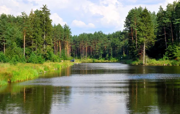 Forest, river, channel, Lithuania, Lazdijai, August