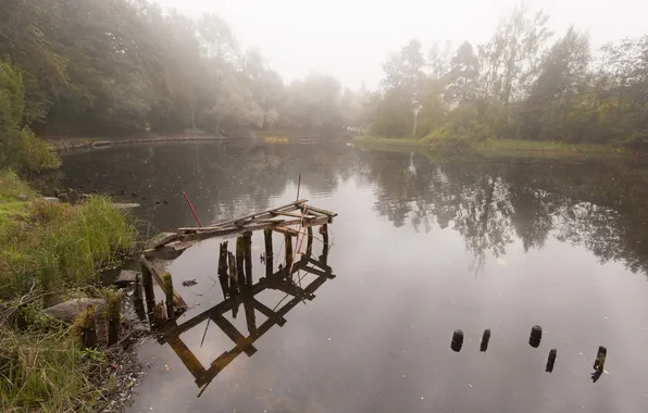 Picture fog, shore, morning, Georgy Sapozhnikov