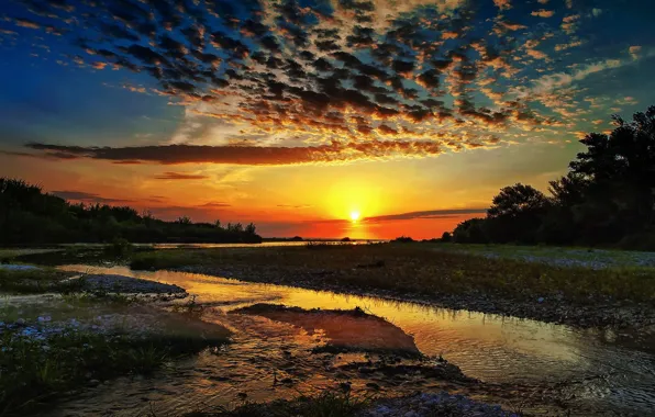 Forest, sunset, nature, river, the evening