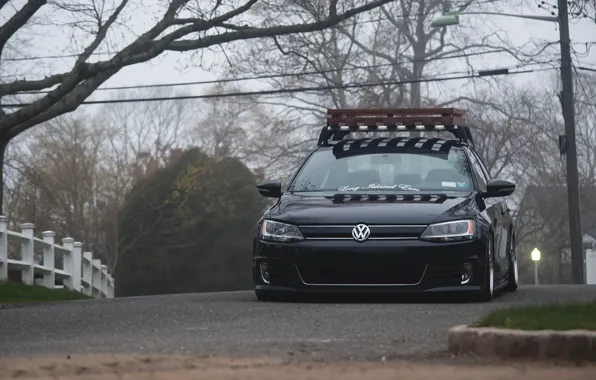 Trees, Volkswagen, black, Jetta, MK6