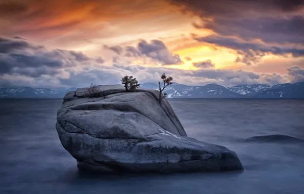 Picture trees, mountains, clouds, cracked, rock, lake, stone