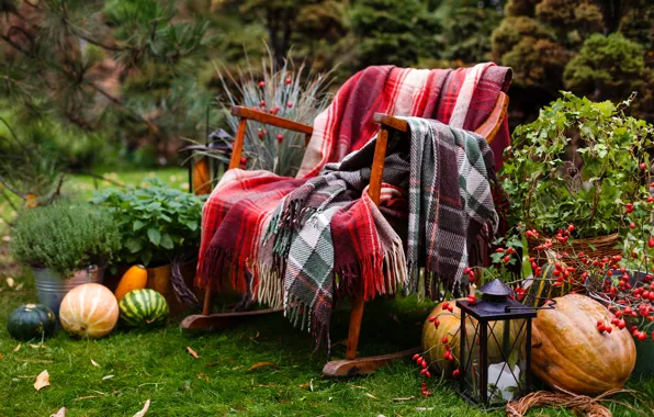 Autumn, leaves, berries, garden, harvest, pumpkin, autumn, leaves