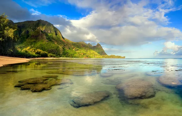 Sea, forest, the sky, clouds, mountains, stones, shore, island