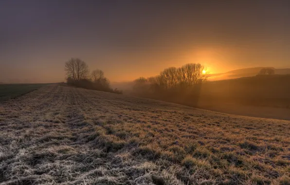 Picture field, sunset, fog