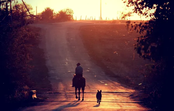 Picture road, the sun, landscape, nature, photo, dog, rider