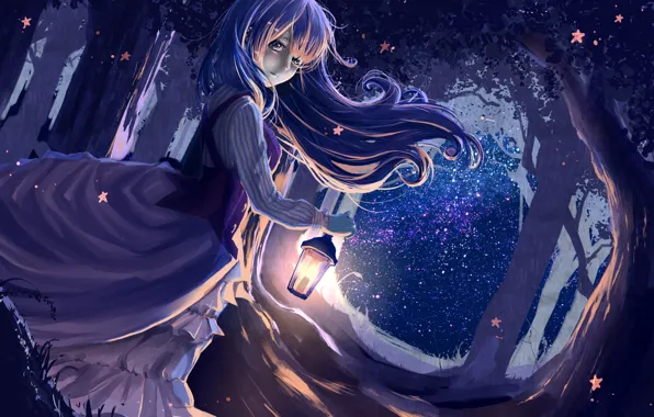 Forest, girl, night, the wind, dress, art, lantern, ryouya