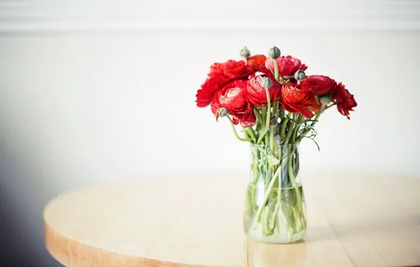 Flowers, bouquet, vase, buds, Ranunculus, Asian Buttercup