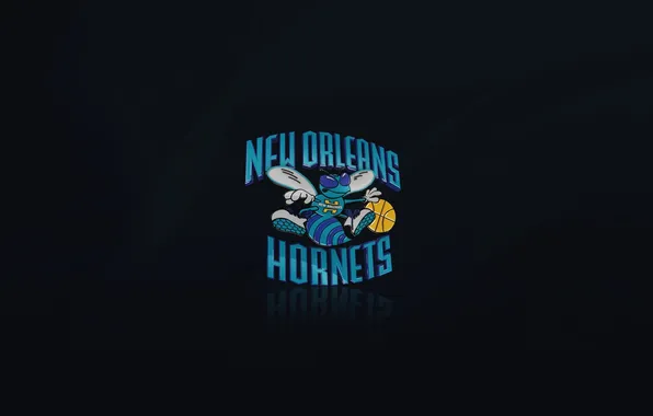 Black, Blue, Basketball, Logo, NBA, New Orleans, The hornets, New Orleans