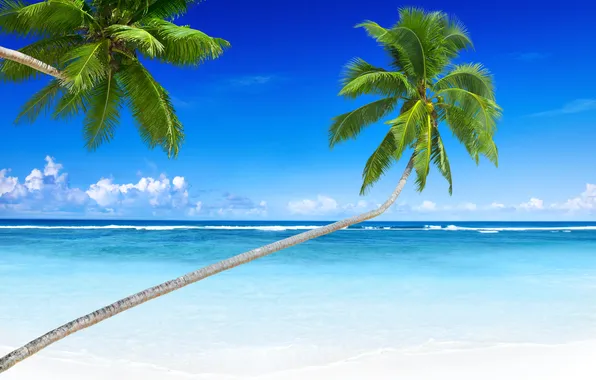 Sea, summer, the sky, clouds, nature