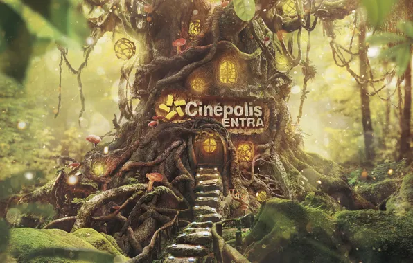 Leaves, trees, mushrooms, stage, CINEPOLIS