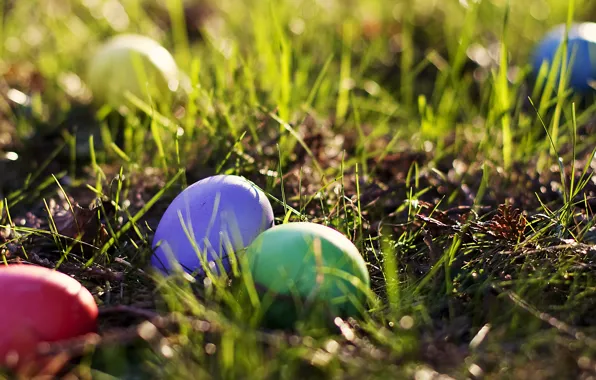 Greens, grass, eggs, spring, Easter, grass, colorful, spring