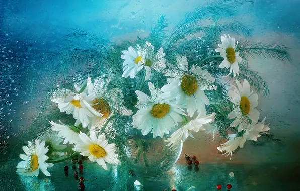 Glass, drops, flowers, berries, table, moisture, chamomile, bouquet