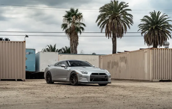 Picture GTR, Nissan, palm trees