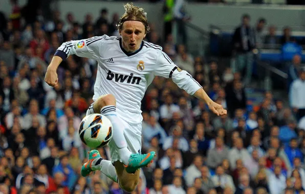 Luka Modrić Wallpapers - Wallpaper Cave