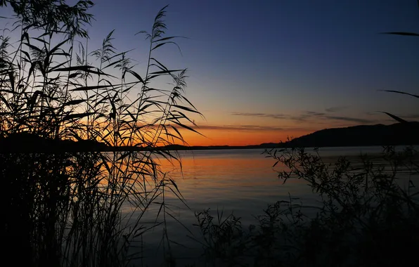The sky, sunset, lake, plant, glow
