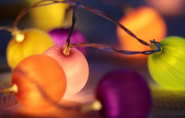 Picture lights, holiday, garland