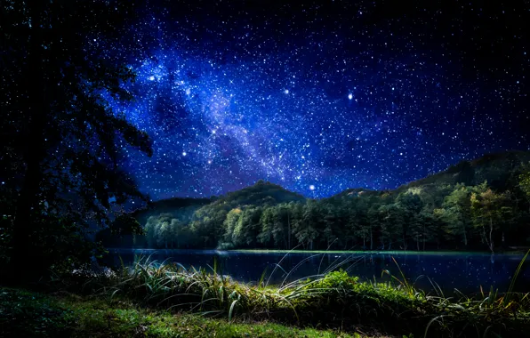 Picture forest, the sky, grass, stars, trees, night, lake, Croatia