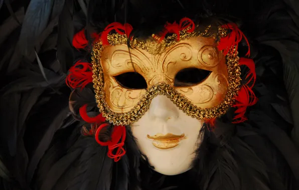 Picture mask, carnival, Venice, masquerade, venice