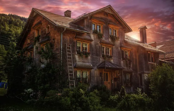 Picture forest, home, treatment, old country house