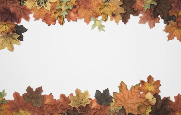 Autumn, leaves, background, colorful, background, autumn, leaves, autumn