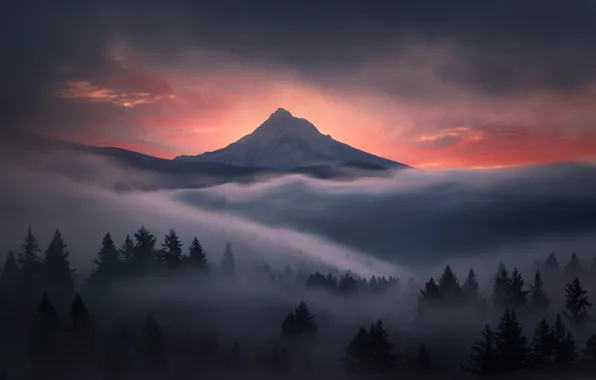 Forest, the sky, mountains, nature, fog, dawn, morning, Oregon