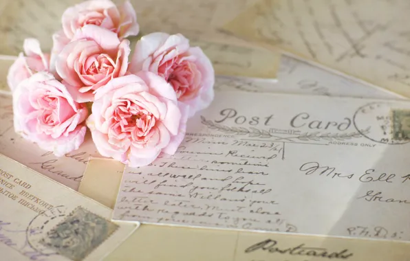 Flowers, roses, pink, vintage, letters, cards
