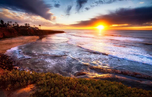 Sea, the sky, the sun, clouds, sunset, nature, palm trees, USA