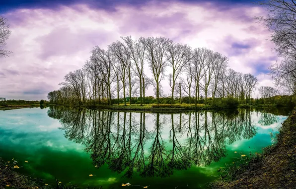 Autumn, water, trees