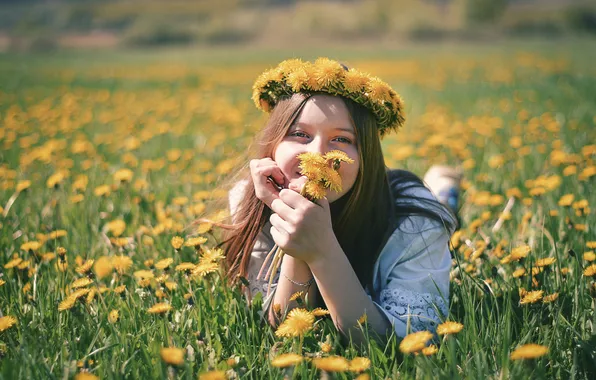 Field, look, girl, flowers, nature, pose, smile, mood