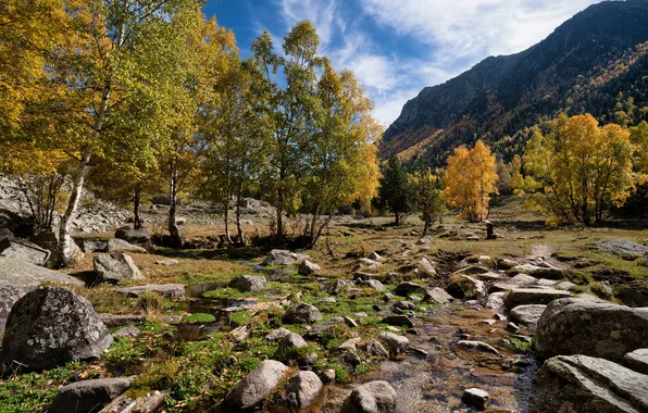 Mountains, Autumn, Trees, Stones, Andorra