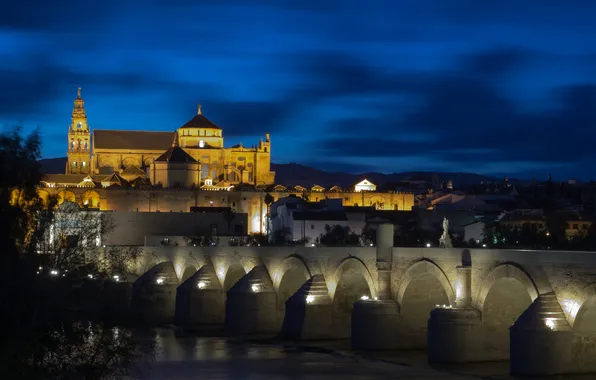 Picture the sky, night, bridge, lights, river, home, Church, Spain