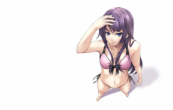 Bikini, the view from the top, senjougahara hitagi
