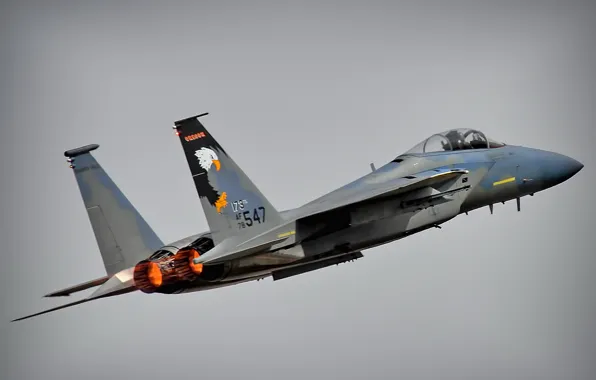 Picture weapons, the plane, F-15 Eagle