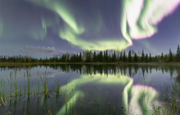 Forest, reflection, river, Northern lights, Canada, Canada, Northwest Territories, Northwest territories