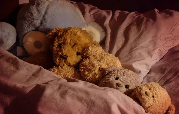 Toys, sleep, the situation, bears, bed, Teddy bears