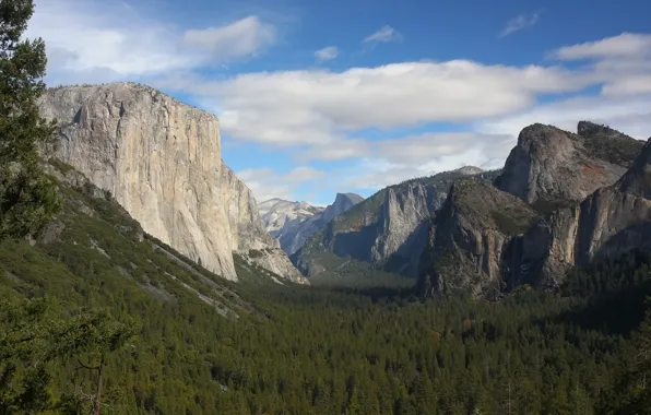Clouds, trees, Yosemite Valley