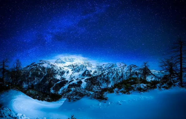 Winter, forest, the sky, snow, trees, mountains, night, stars