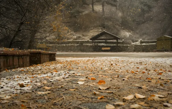 Autumn, the city, street