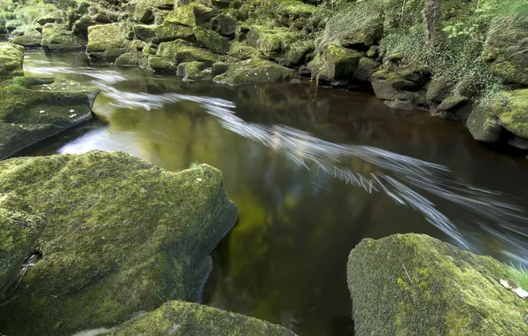Picture nature, river, stones, moss