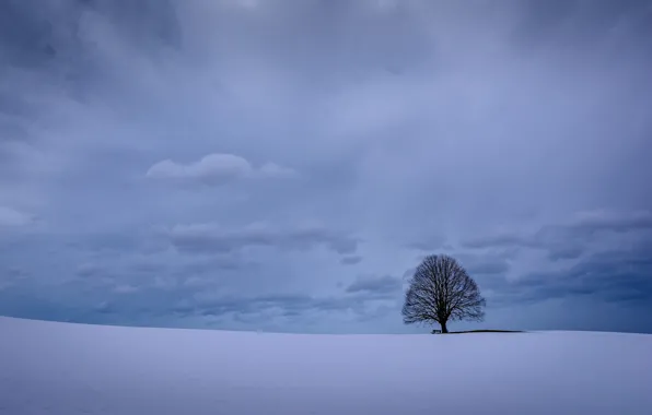 Picture winter, the sky, clouds, snow, tree, Germany, Bayern