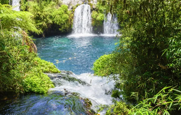 Picture greens, the sun, stones, waterfall, the bushes, Chile, Conguillio National Park