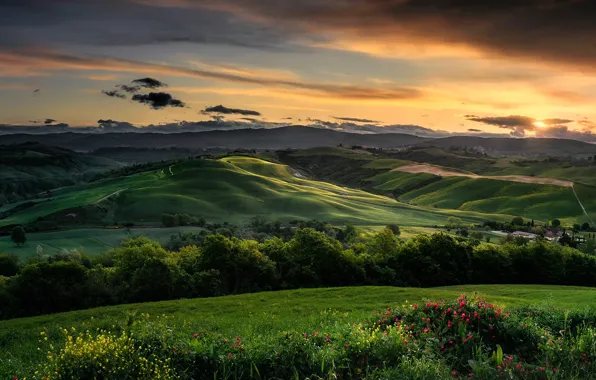 Trees, landscape, sunset, flowers, nature, hills, field, Italy