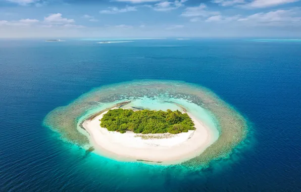 Ocean, landscape, nature, maldives, over, palm, natural, nobody