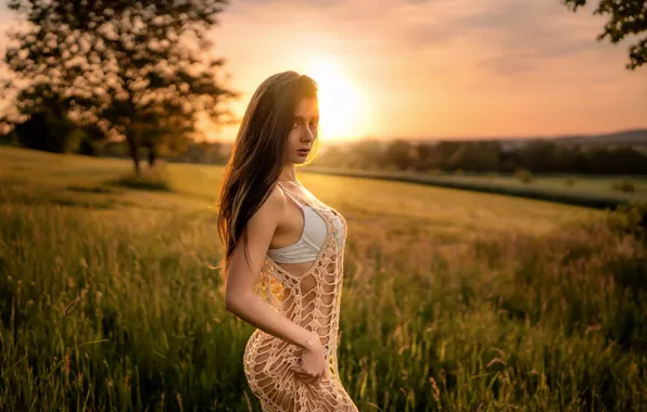 Field, grass, look, the sun, trees, landscape, sunset, sexy